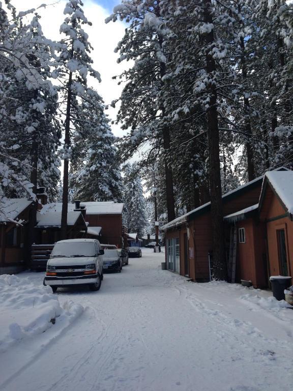 Majestic Moose Lodge - Coptic Village Big Bear Lake Eksteriør billede