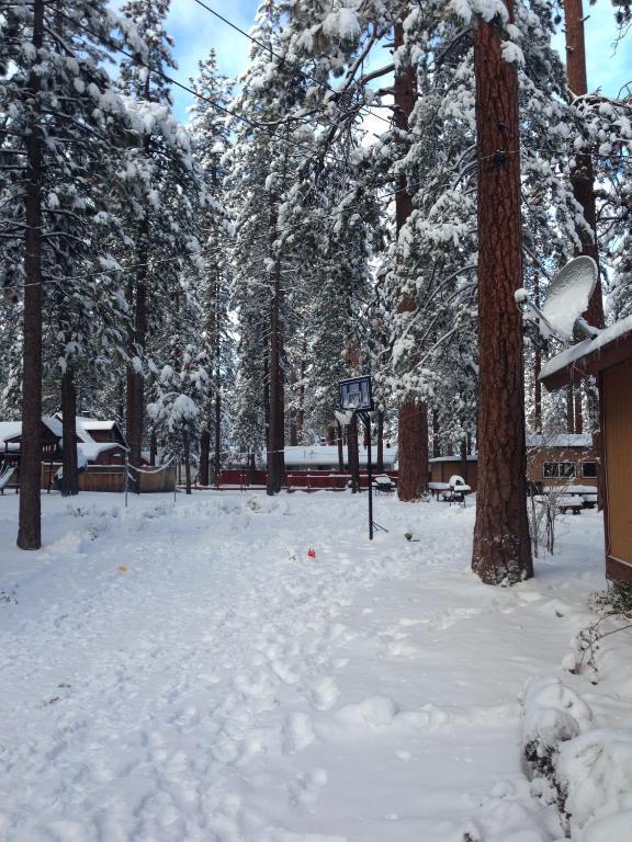 Majestic Moose Lodge - Coptic Village Big Bear Lake Eksteriør billede