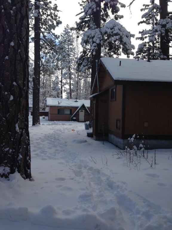 Majestic Moose Lodge - Coptic Village Big Bear Lake Eksteriør billede
