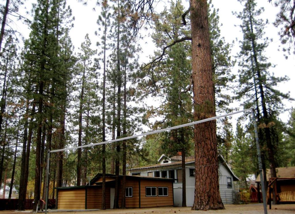 Majestic Moose Lodge - Coptic Village Big Bear Lake Eksteriør billede
