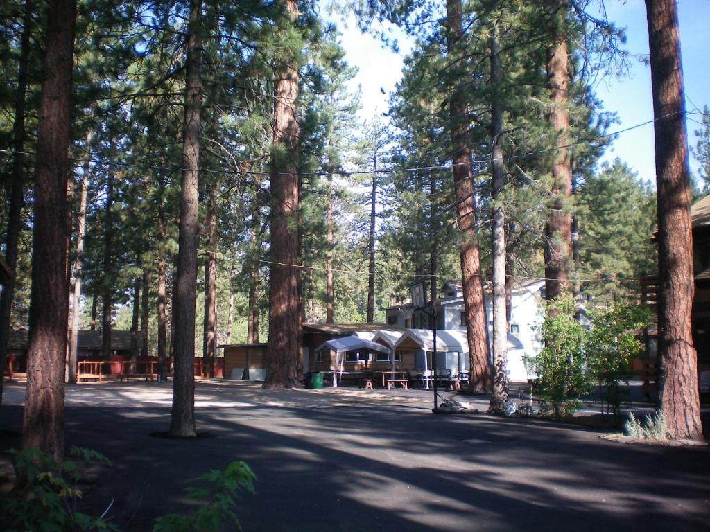 Majestic Moose Lodge - Coptic Village Big Bear Lake Eksteriør billede